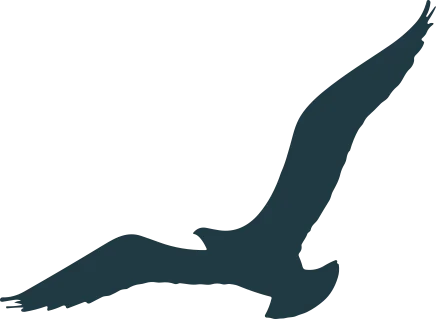 A flat, dark blue silhouette of a seagull in flight, viewed from the side against a black background.