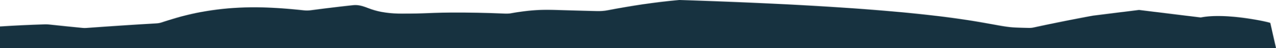 A dark, horizontal, abstract shape with an irregular, wavy top edge against a white background.