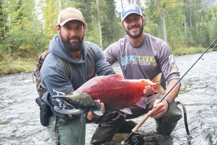 Two men stand in a river, holding a large, vibrant red salmon they have caught.