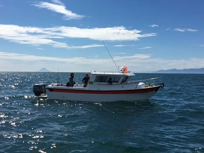 A small white boat with an orange stripe travels on a sunny, blue ocean under a partly cloudy sky.