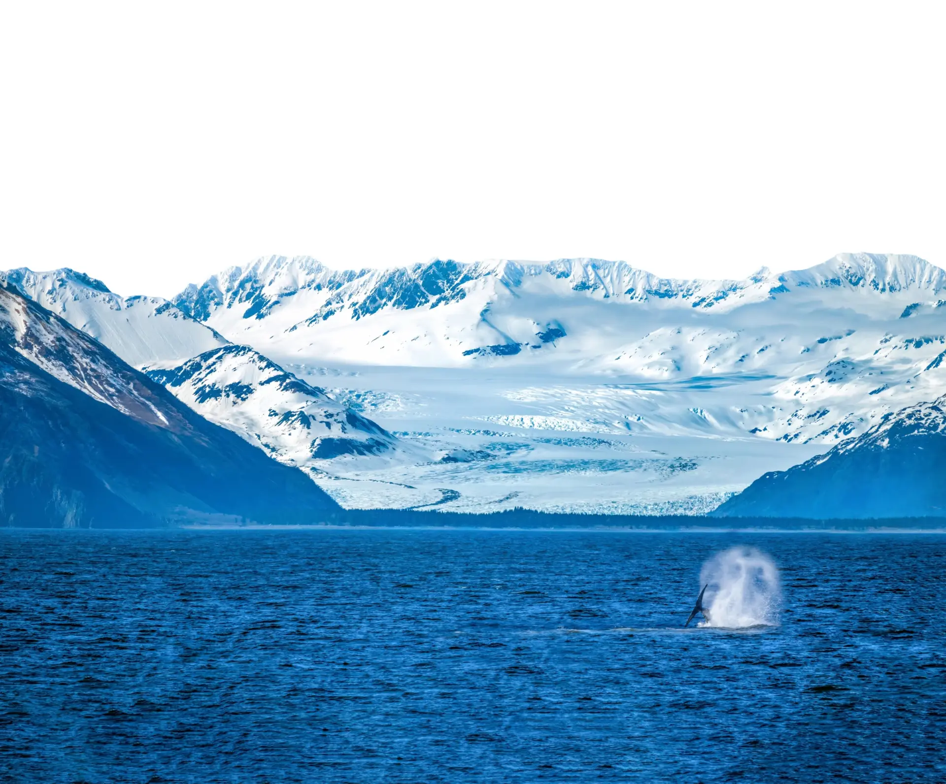 A whale spouts water in the ocean before a backdrop of snow-capped mountains and a glacier.